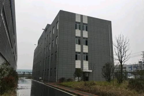 常州工厂二次流拍 2780万底价仍无人问津的背后